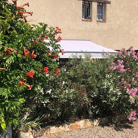 Le Cocon De Provence Daire Fayence Dış mekan fotoğraf