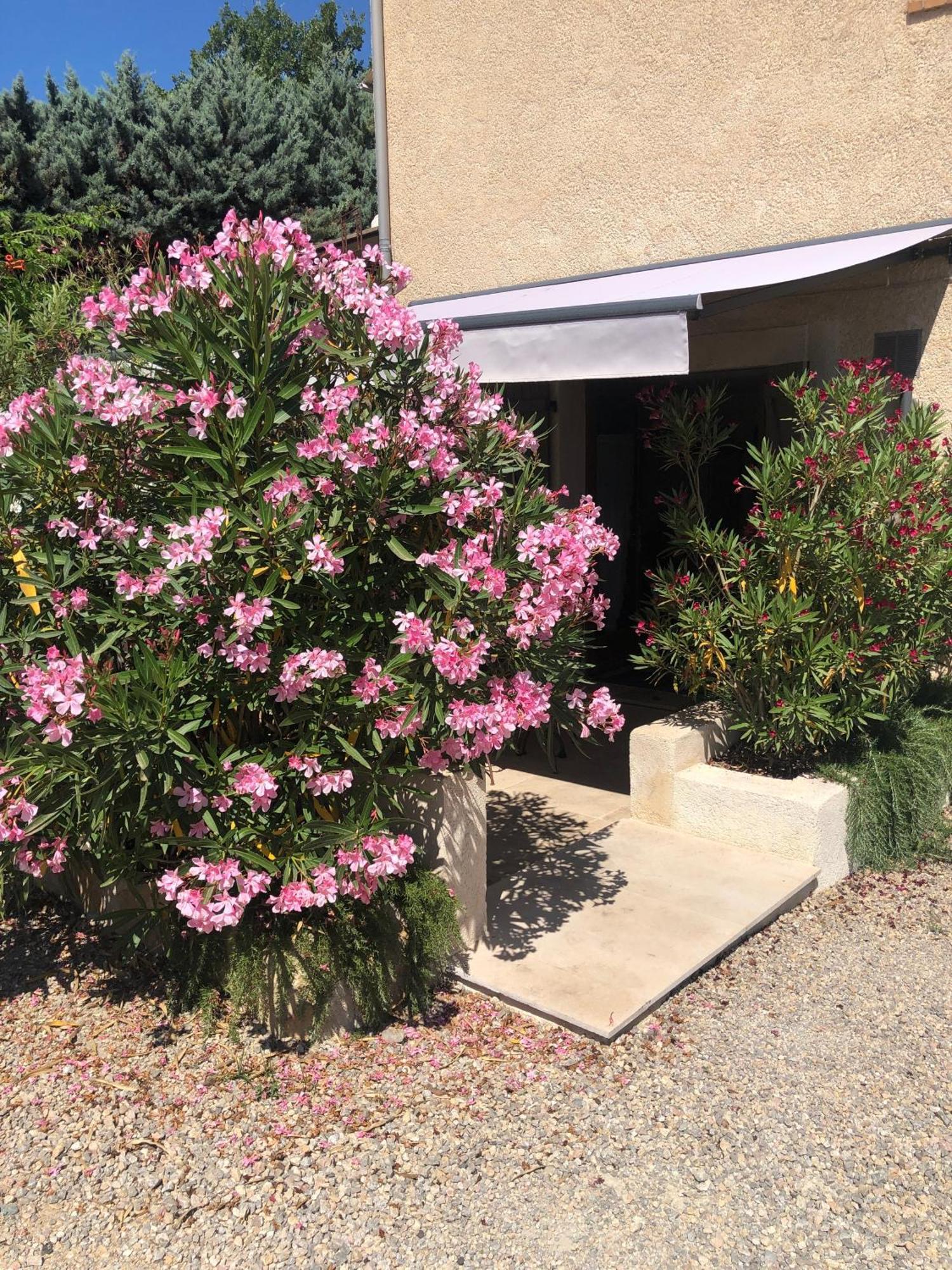 Le Cocon De Provence Daire Fayence Dış mekan fotoğraf