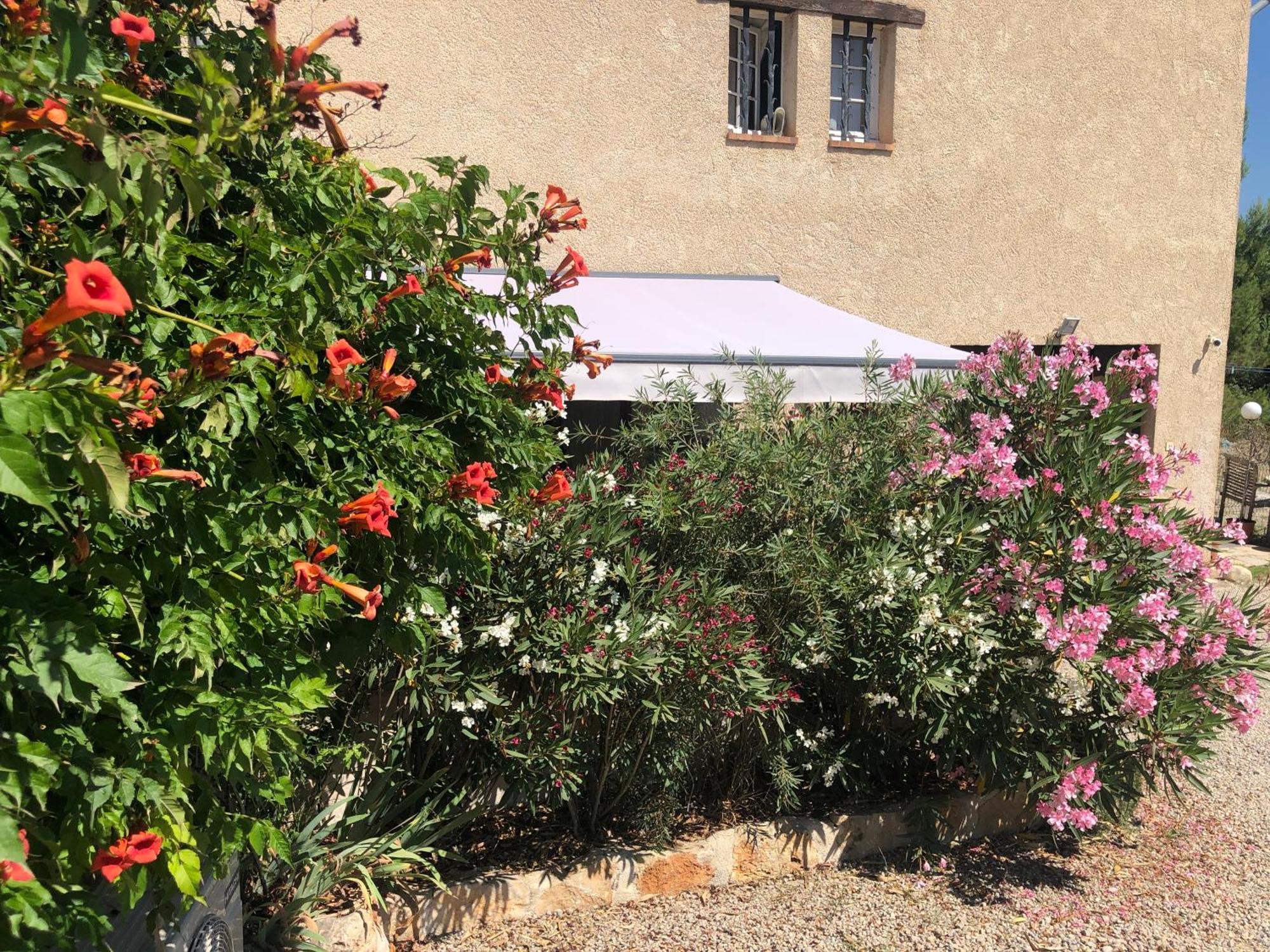 Le Cocon De Provence Daire Fayence Dış mekan fotoğraf